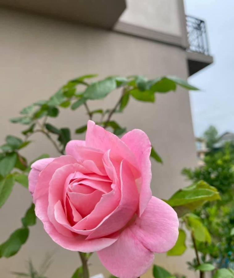 באטומי Green Yard Hotel מראה חיצוני תמונה